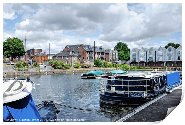 Chichester Canal Basin West Sussex Print by Diana Mower