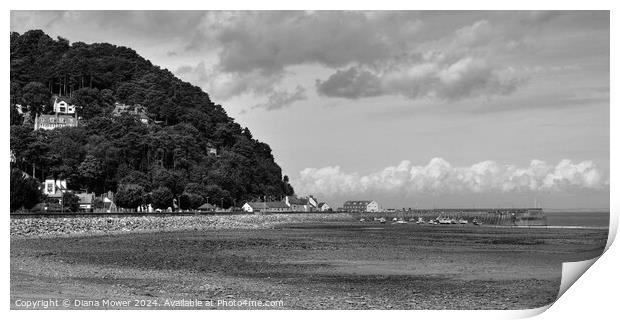 Minehead beach Somerset monochrome Print by Diana Mower