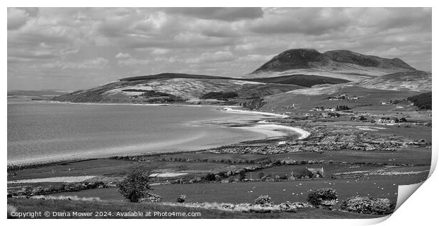 The Isle of Arran Monochrome Print by Diana Mower