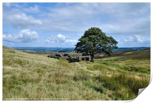 Top Withens Haworth Moor Yorkshire Print by Diana Mower