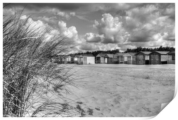 West Wittering beach huts and Dunes Mono Print by Diana Mower