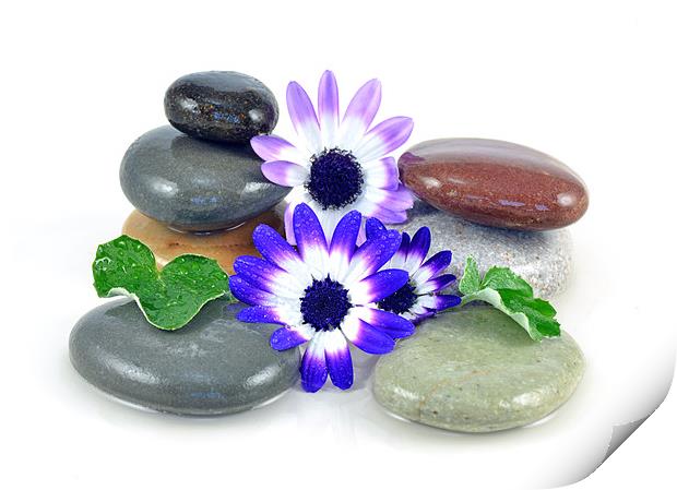 Zen Stones and Flowers Print by Diana Mower