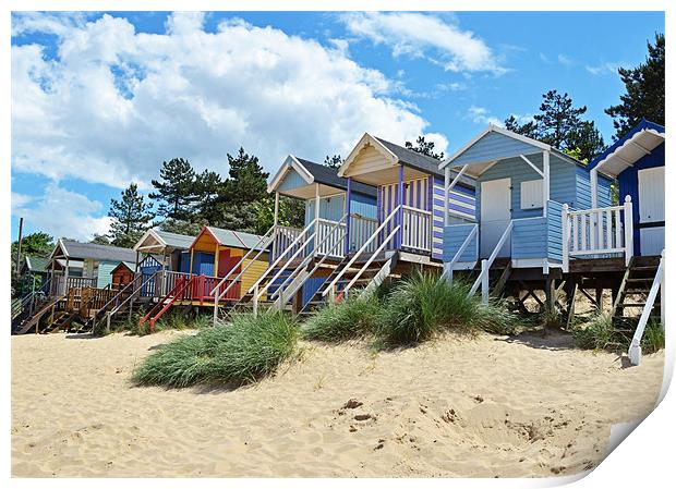 Well next the Sea Norfolk Beach Huts Print by Diana Mower