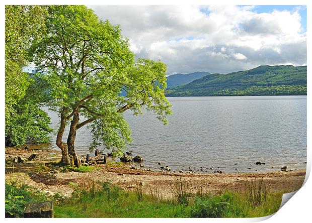 Loch Lomond Scotland Print by Diana Mower