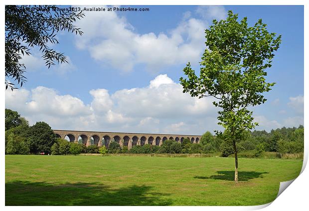 Chappel Viaduct Essex Print by Diana Mower