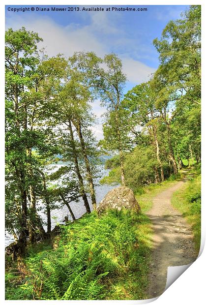 Loch Lomond Path Scotland  Print by Diana Mower