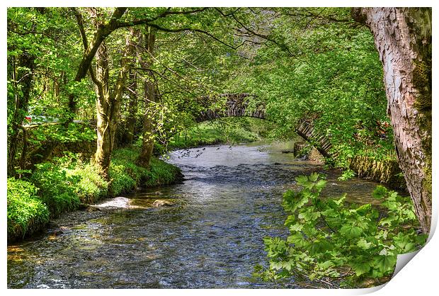 Ambleside River Cumbria  Print by Diana Mower