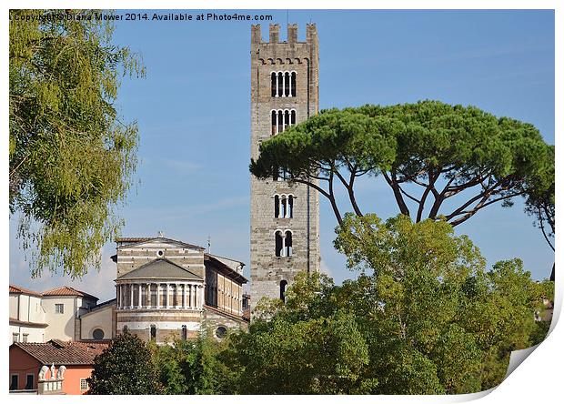 Lucca Tuscany Italy Print by Diana Mower