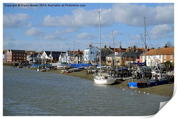 Wivenhoe Print by Diana Mower