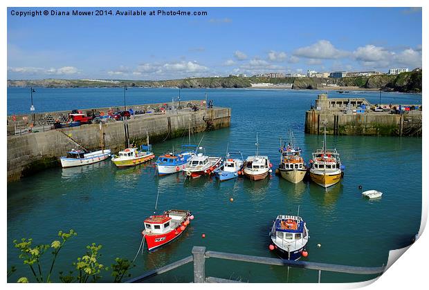 Newquay Print by Diana Mower