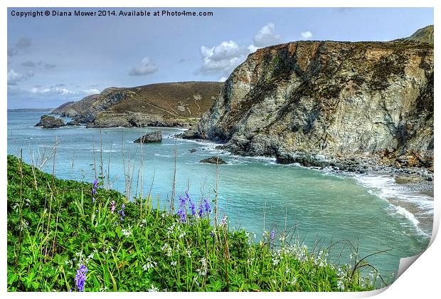 St Agnes Cornwall Print by Diana Mower