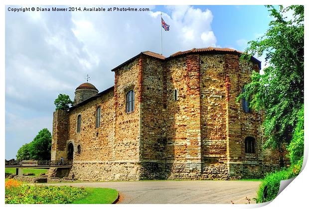 Colchester Castle Print by Diana Mower