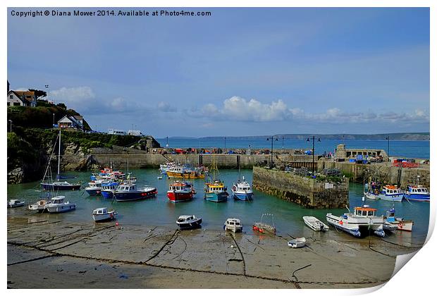 Newquay Harbour Print by Diana Mower