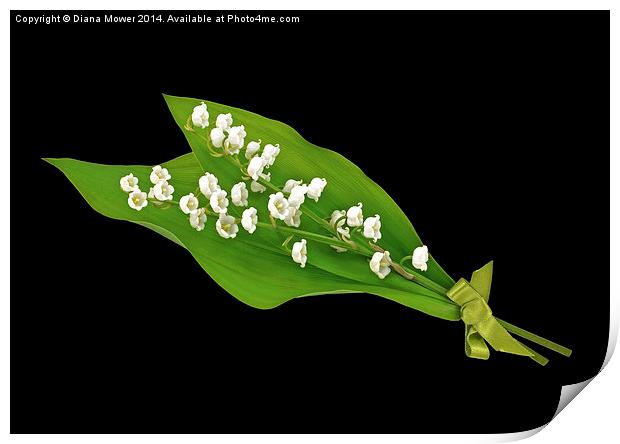 Lily of the Valley Print by Diana Mower
