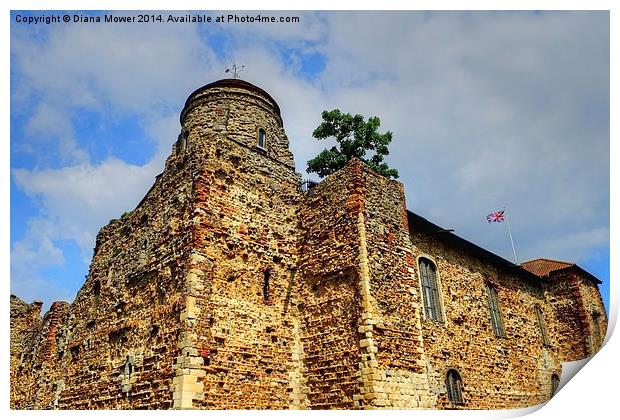  Colchester Castle Print by Diana Mower