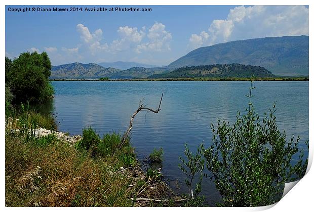  Albania Lake Vivari  Print by Diana Mower
