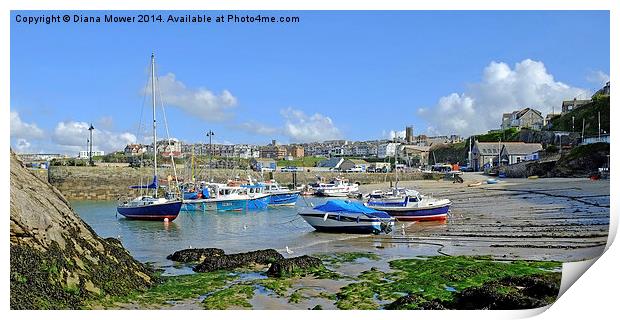  Newquay Harbour  Print by Diana Mower