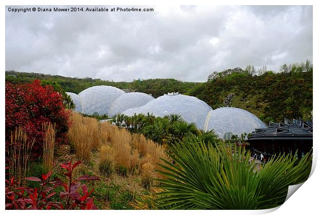 The Eden Project Print by Diana Mower