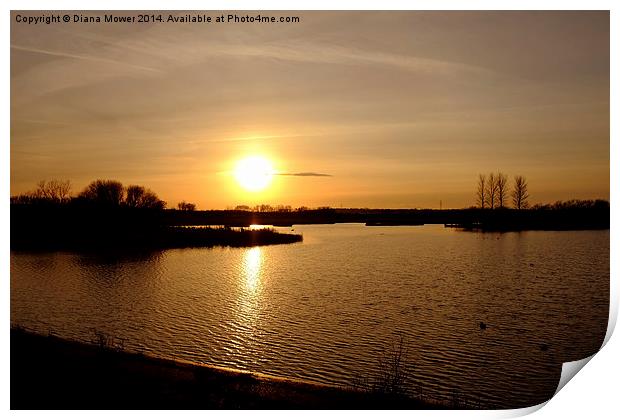 Abberton Reservoir  Print by Diana Mower