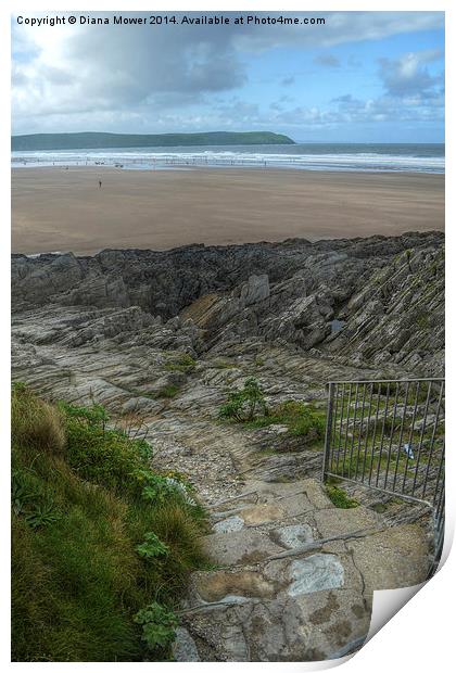  Woolacombe Beach path Print by Diana Mower