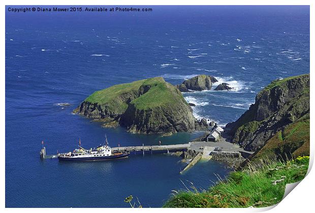  Lundy Island Harbour Print by Diana Mower