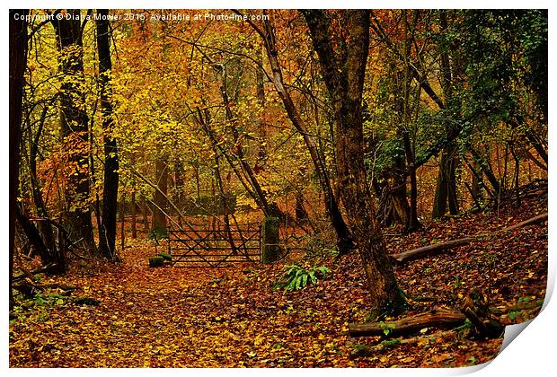The Forest of Dean Print by Diana Mower