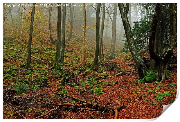  Misty Forest of Dean Print by Diana Mower