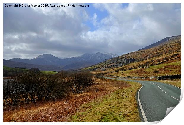  The road to Snowdon Print by Diana Mower
