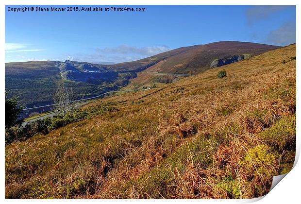  Horseshoe Pass Print by Diana Mower