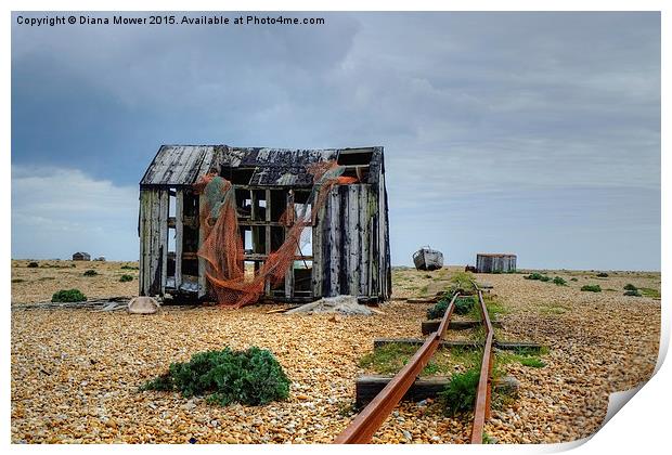 Dungeness  Print by Diana Mower