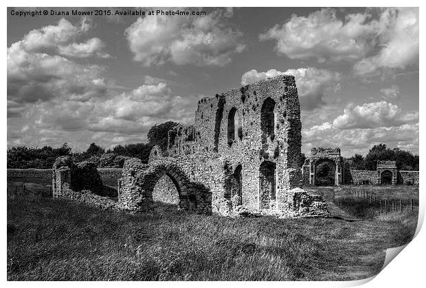  Greyfriars Priory, black and white Print by Diana Mower