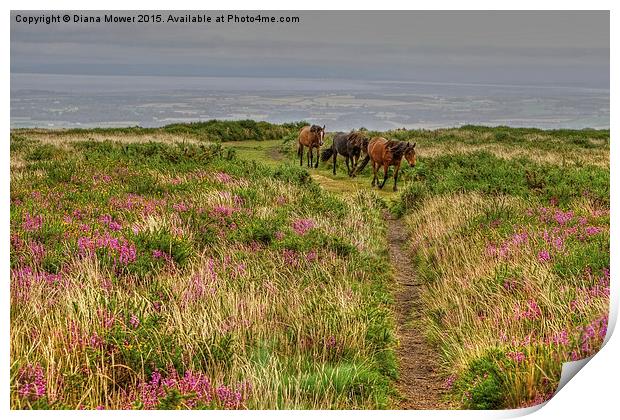  Quantock Hills Horses Print by Diana Mower