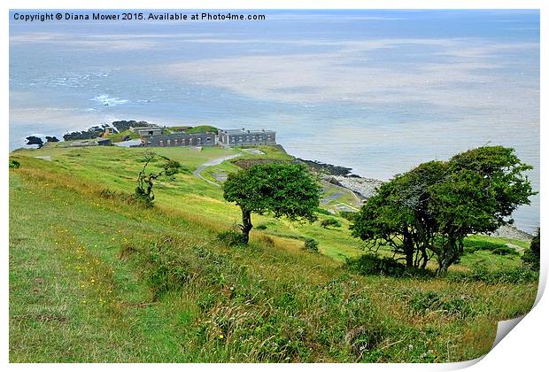  Brean Down Fort Print by Diana Mower