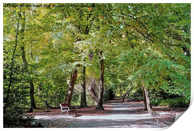  Highgate Wood London Print by Diana Mower