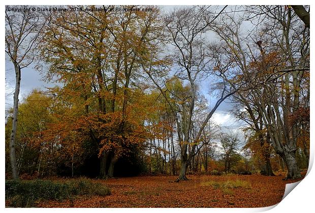  Epping Forest in Autumn Print by Diana Mower