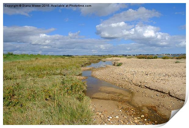  Mersea Stone,  East Mersea  Print by Diana Mower