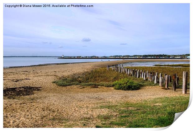  St Osyth and Brightlingsea Print by Diana Mower