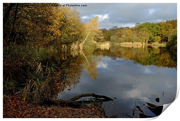  Wake Valley Pond Epping Print by Diana Mower
