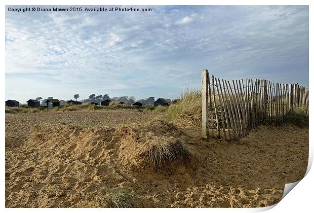  Walberswick beach huts Print by Diana Mower