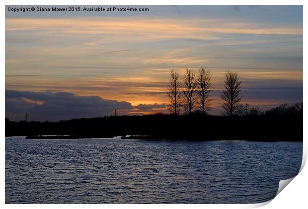  Abberton Reservoir Sunset Print by Diana Mower