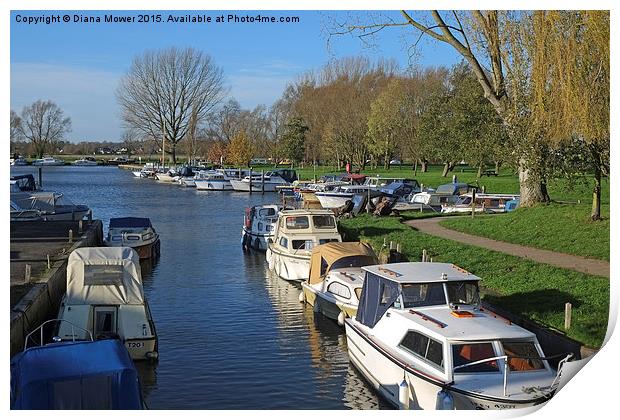  Beccles Suffolk Print by Diana Mower