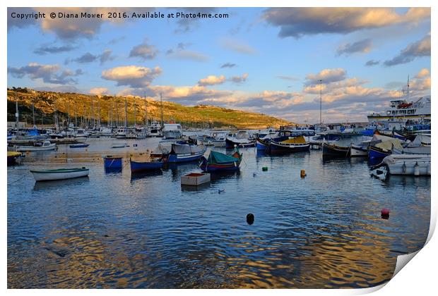 Gozo Harbour evening Print by Diana Mower
