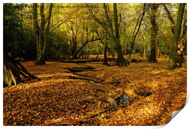 Epping Forest In Autumn Print by Diana Mower
