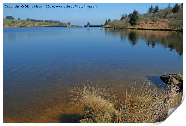 Fernworthy Reservoir Print by Diana Mower