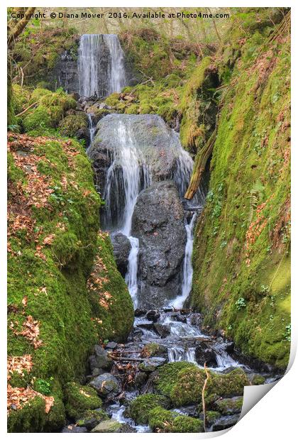 Clampit Falls Print by Diana Mower