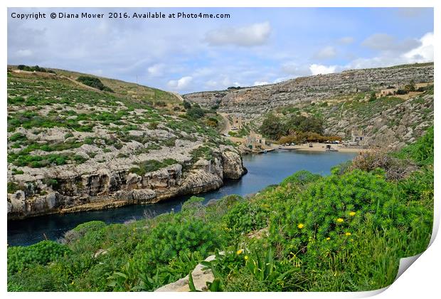 Mgarr ix-xini Bay,  Gozo Print by Diana Mower