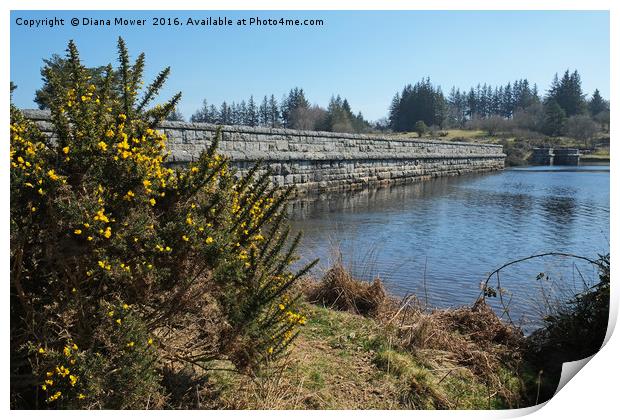 Fernworthy Reservoir Print by Diana Mower