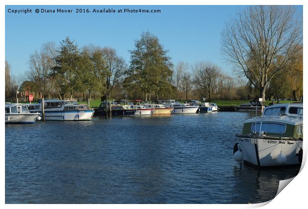 Beccles Suffolk  Print by Diana Mower