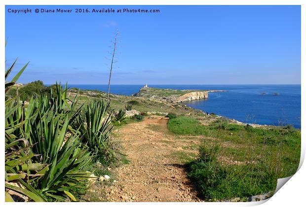 St Pauls Island Malta Print by Diana Mower