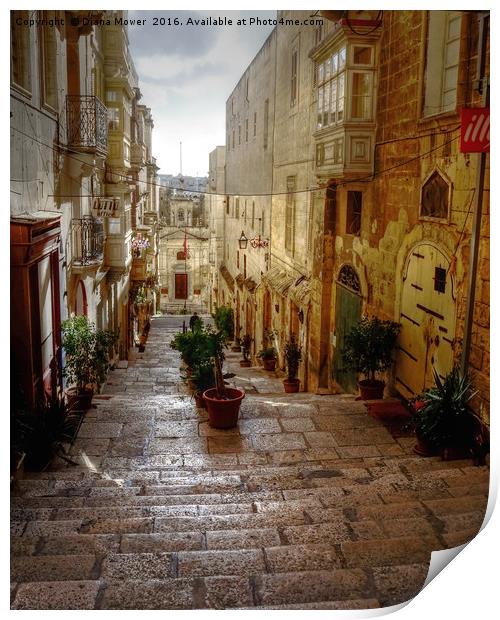 Valletta Street Print by Diana Mower